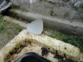 20110913075138