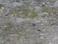 20110913075927