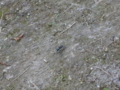 20110913080228