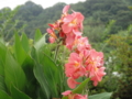 20110913080444