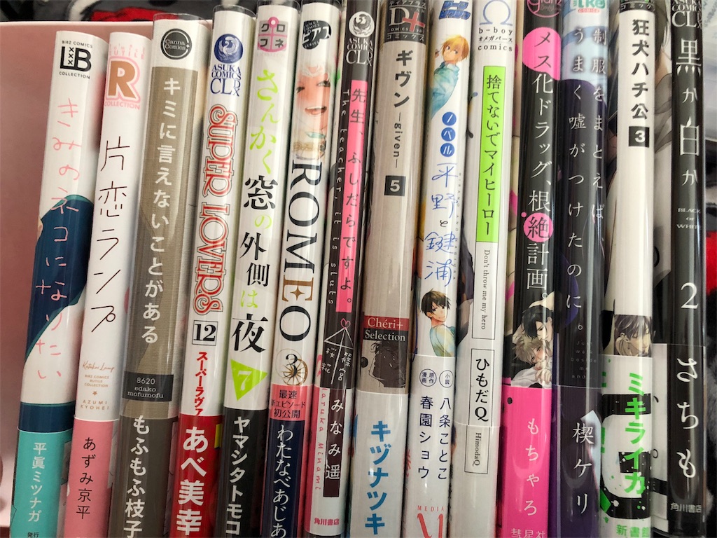 f:id:inful_you:20190512120040j:image