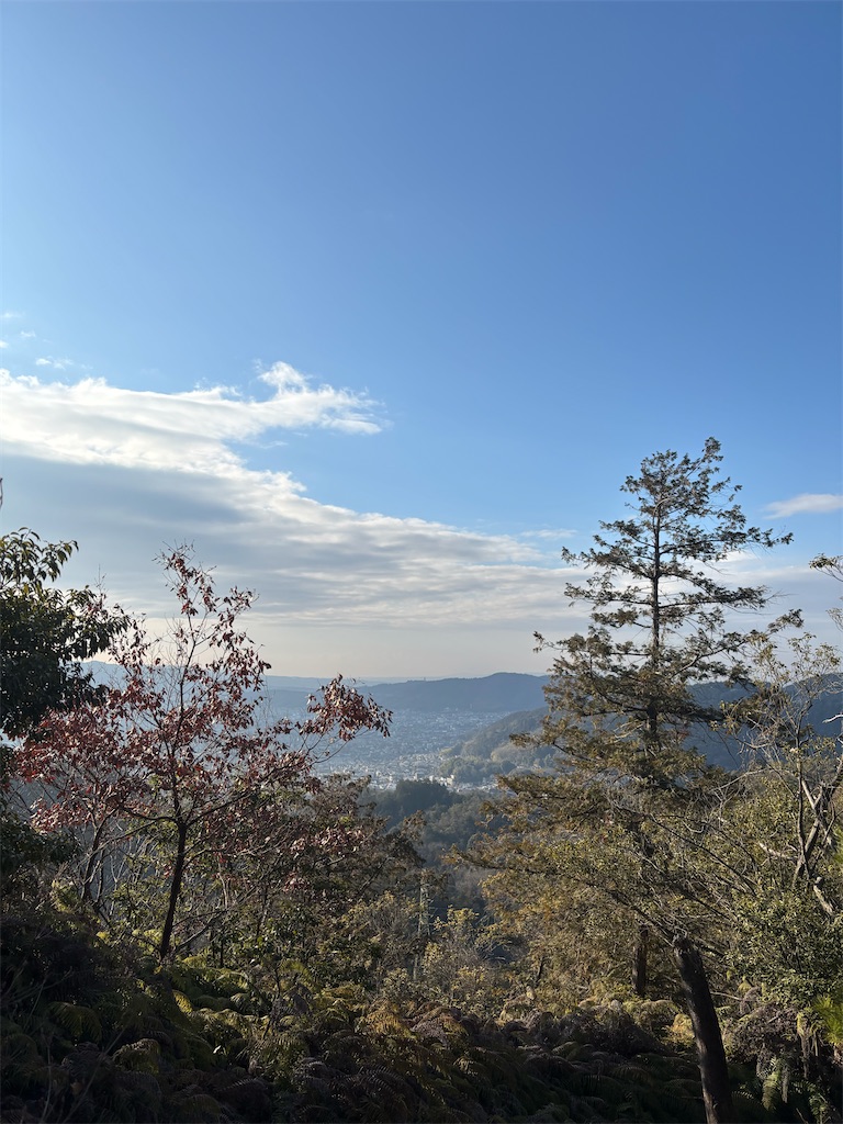 f:id:ingA:20260228090043j:image f:id:ingA:20260228090043j:image