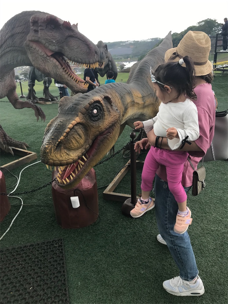 f:id:ingeborugu:20190506173302j:image