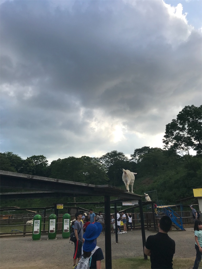 f:id:ingeborugu:20190506174528j:image