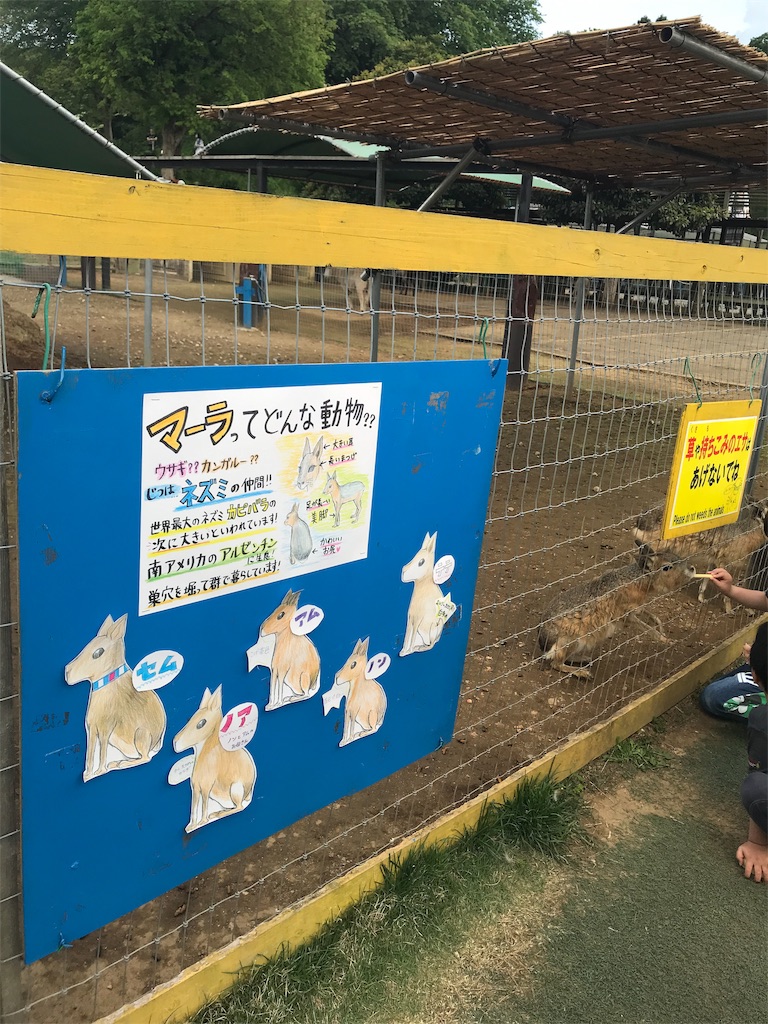 f:id:ingeborugu:20190506174542j:image