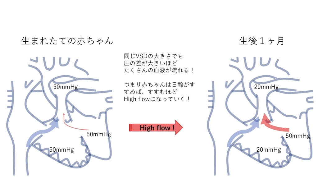 f:id:inishi:20190218124711j:plain f:id:inishi:20190218124711j:plain