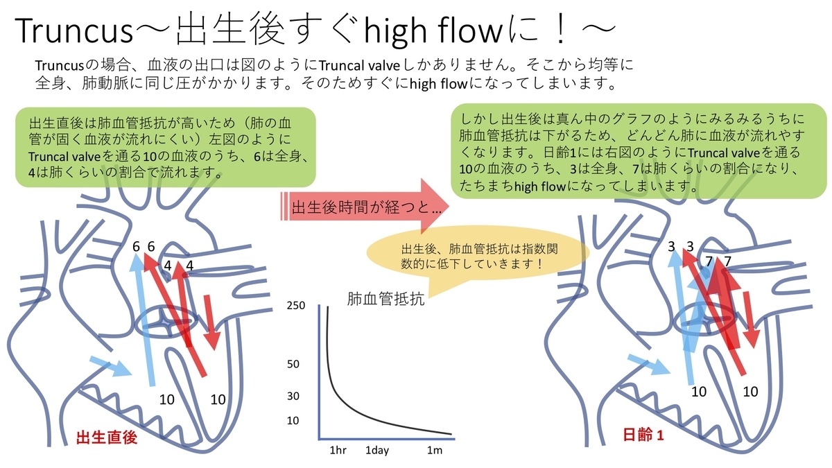 f:id:inishi:20191005193529j:plain f:id:inishi:20191005193529j:plain