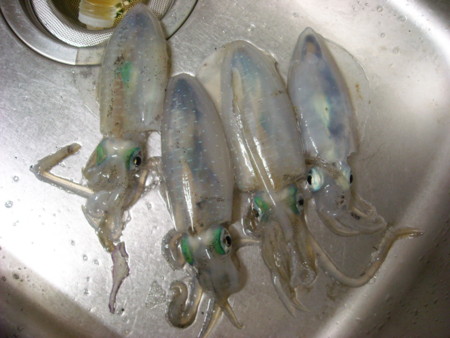 f:id:initialtt:20130829002039j:image:w360 f:id:initialtt:20130829002039j:image:w360