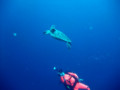 20111108143738