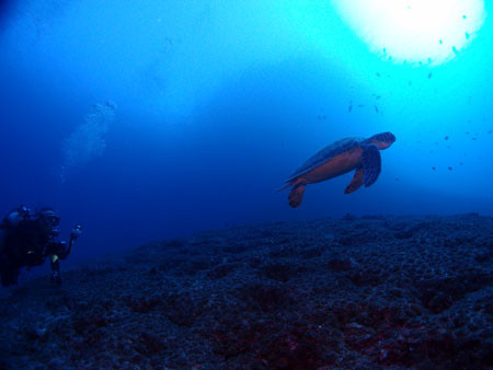 f:id:inkadhi:20131105173404j:image
