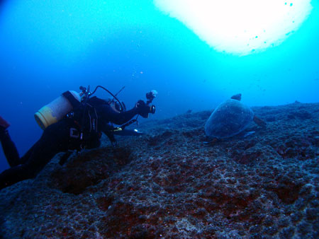 f:id:inkadhi:20131105173405j:image