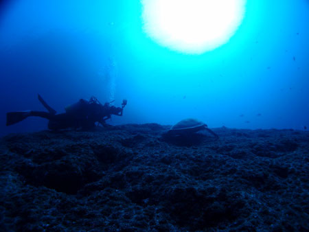 f:id:inkadhi:20131105173407j:image