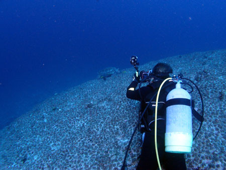 f:id:inkadhi:20131105173408j:image