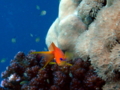 20121206104258