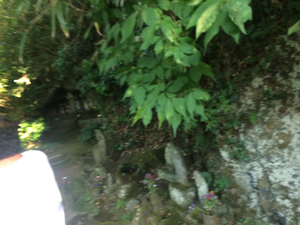 f:id:inmoress:20160830020756j:plain f:id:inmoress:20160830020756j:plain