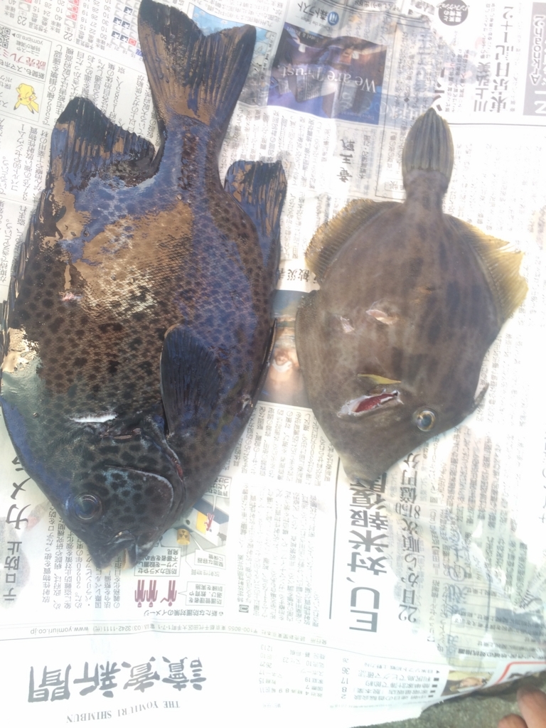 f:id:inmoress:20180717203153j:plain
