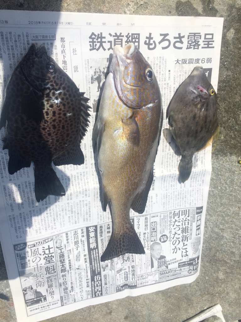 f:id:inmoress:20180717203438j:plain