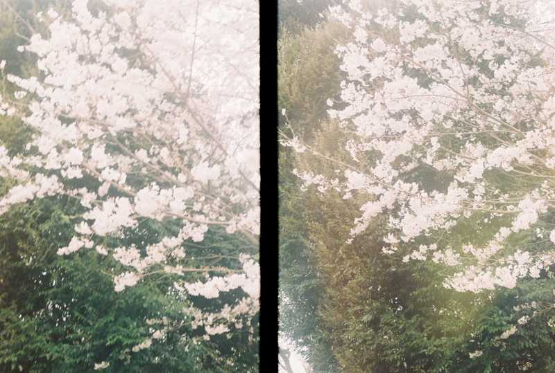 f:id:ino_null:20160613235544j:plain