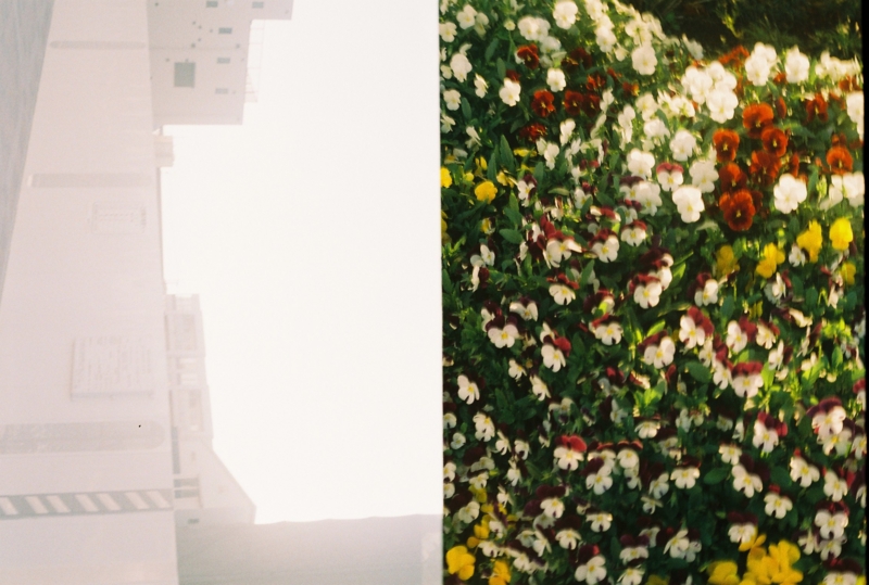 f:id:ino_null:20160613235547j:plain