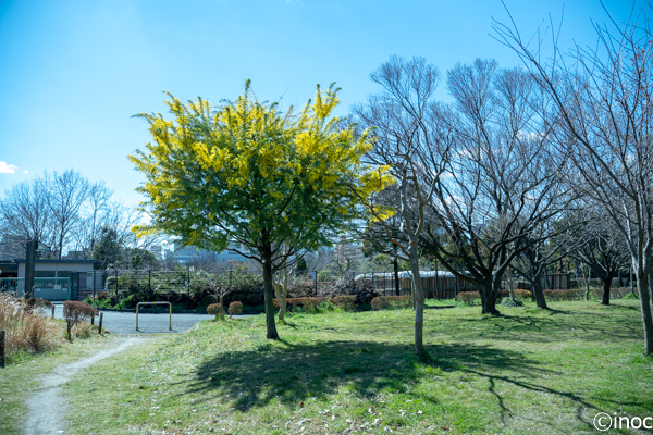 f:id:inoc12:20190309143541j:plain f:id:inoc12:20190309143541j:plain