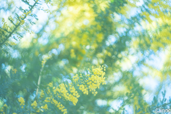 f:id:inoc12:20190309143557j:plain f:id:inoc12:20190309143557j:plain