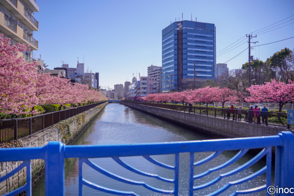 f:id:inoc12:20190309143615j:plain f:id:inoc12:20190309143615j:plain