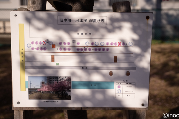 f:id:inoc12:20190310142556j:plain f:id:inoc12:20190310142556j:plain