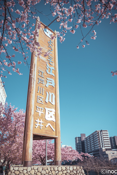 f:id:inoc12:20190310142559j:plain f:id:inoc12:20190310142559j:plain