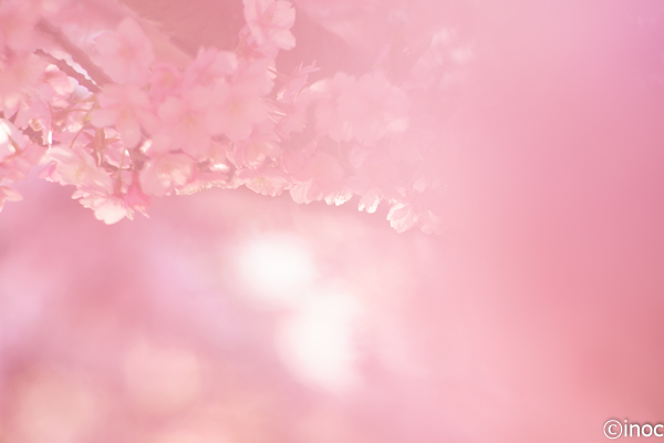 f:id:inoc12:20190310142614j:plain f:id:inoc12:20190310142614j:plain