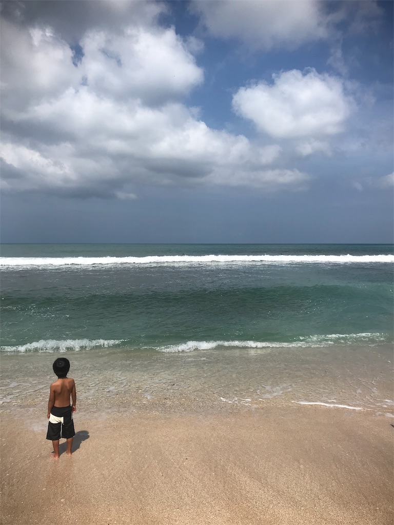 f:id:inokenblog:20190225125816j:image f:id:inokenblog:20190225125816j:image