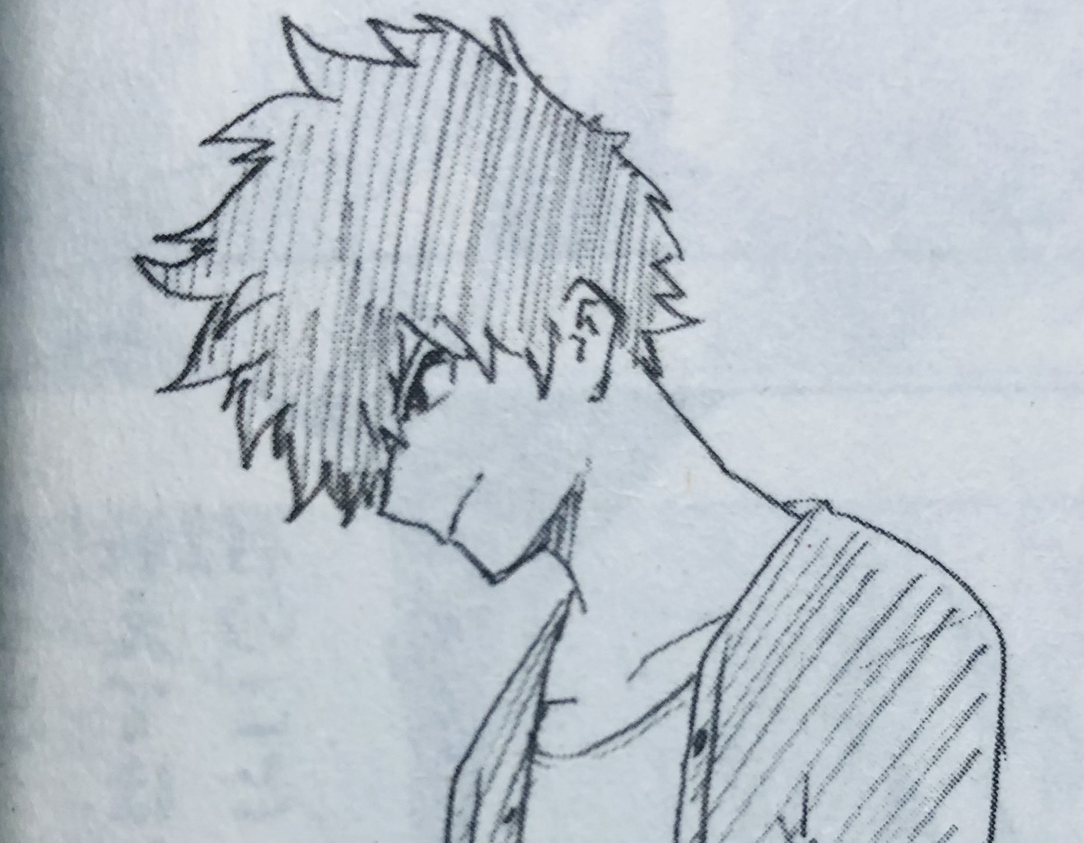 ヒロアカ 第2回キャラクター人気投票 上位30人 Inokosan Blog