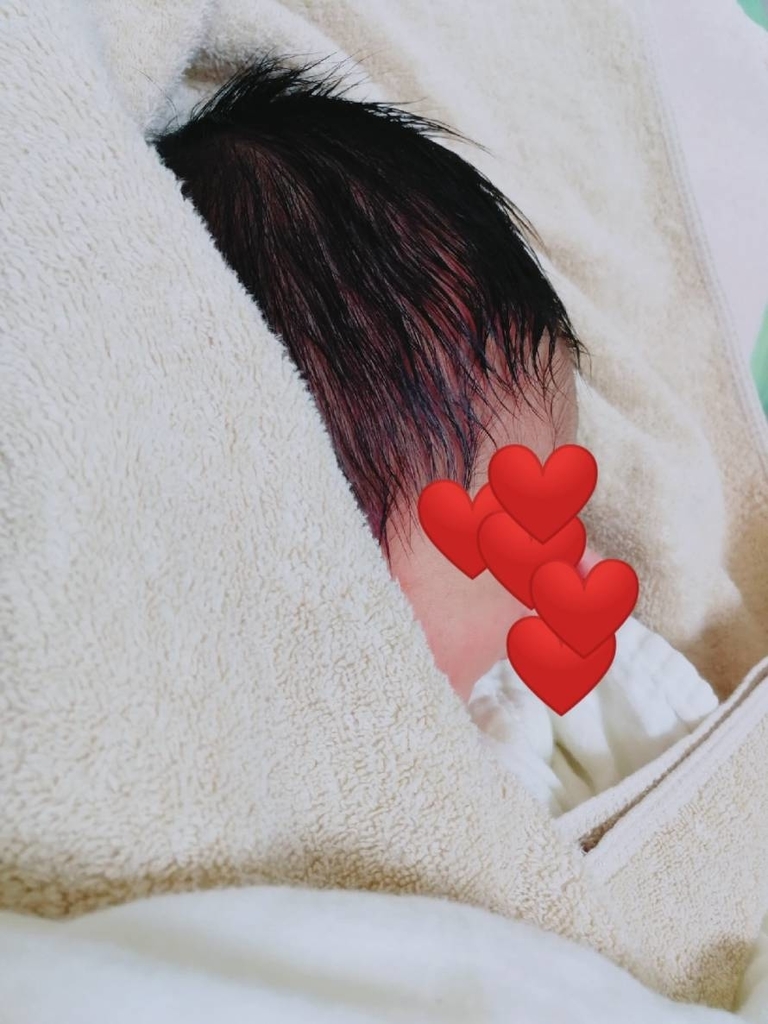 f:id:inookayama:20181025203829j:plain