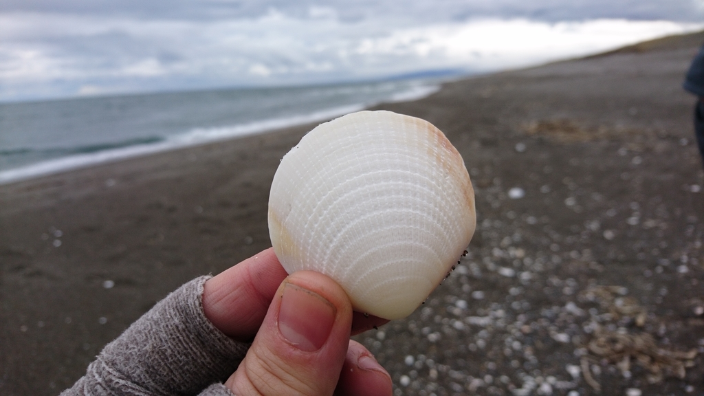 f:id:inoppi0625:20190308210330j:plain f:id:inoppi0625:20190308210330j:plain