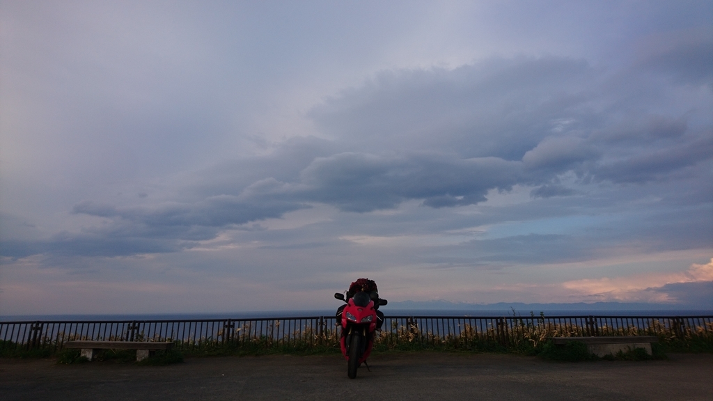 f:id:inoppi0625:20190310214654j:plain