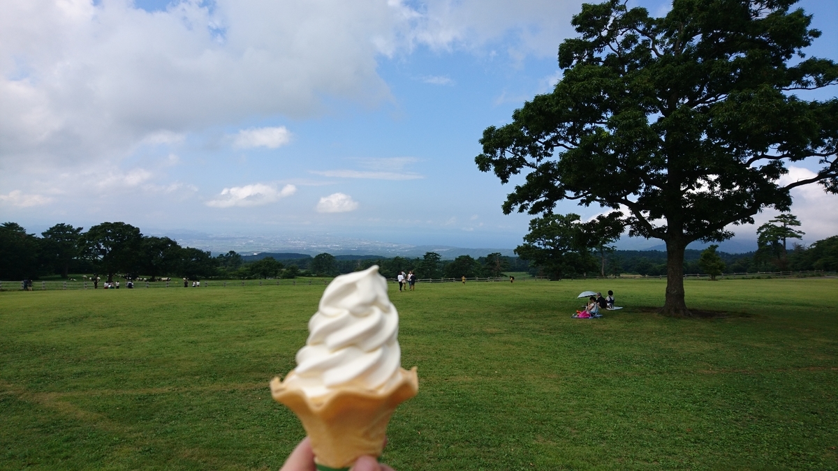 f:id:inoppi0625:20190329164423j:plain f:id:inoppi0625:20190329164423j:plain