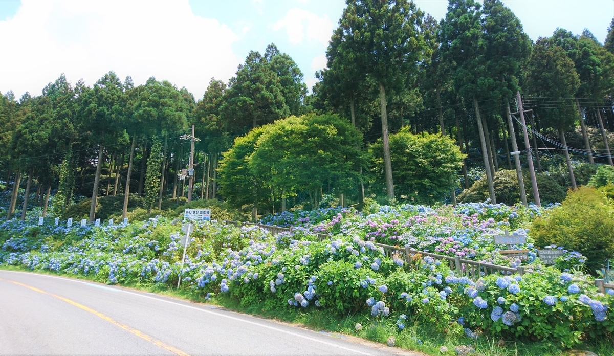 f:id:inoppi0625:20200507141449j:plain