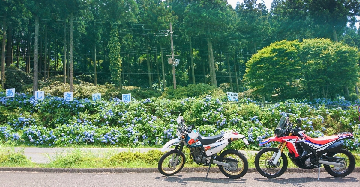 f:id:inoppi0625:20200507141506j:plain