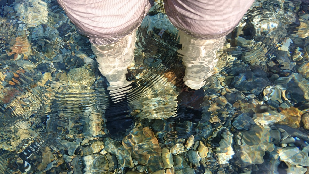 f:id:inoppi0625:20200507212117j:plain