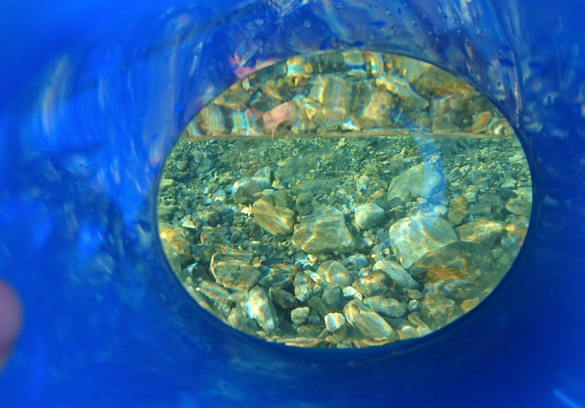 f:id:inoppi0625:20200507212120j:plain