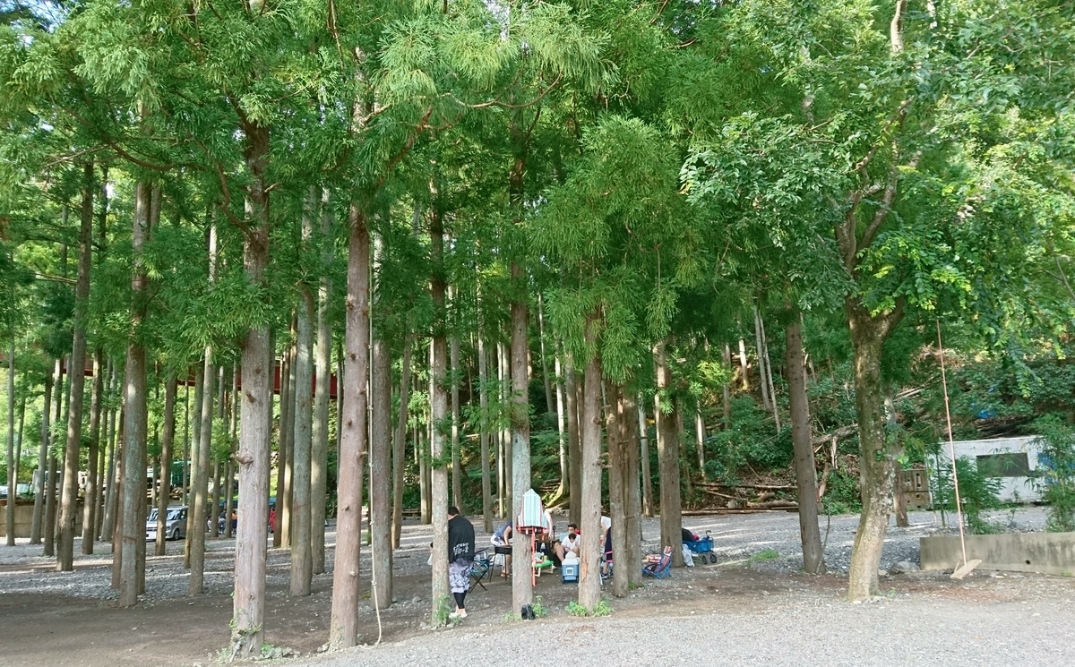 f:id:inoppi0625:20200507214708j:plain