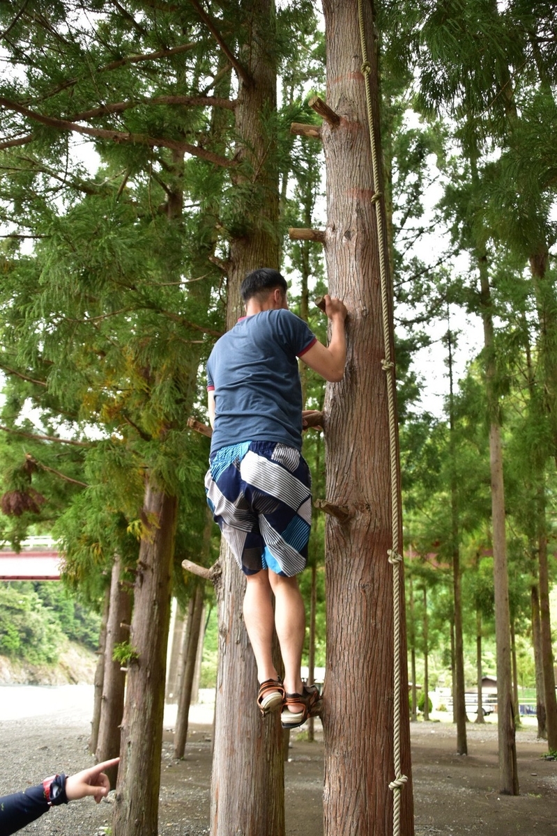 f:id:inoppi0625:20200507214735j:plain