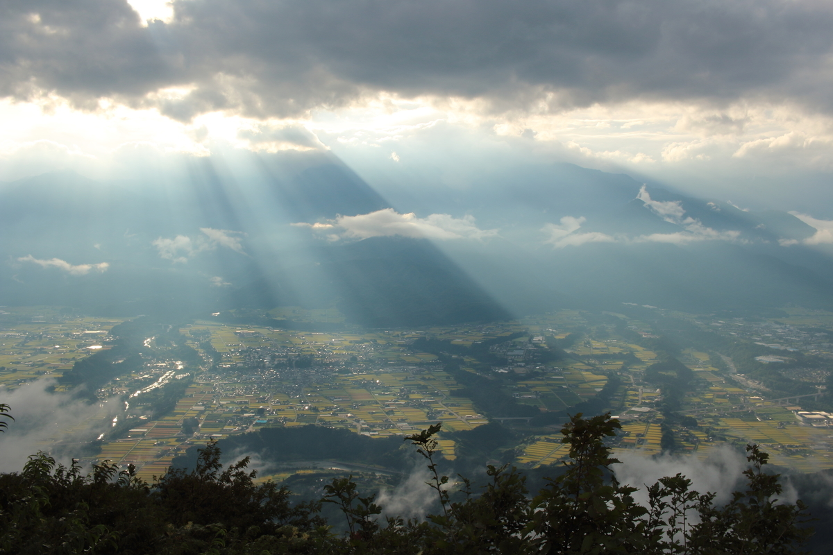 f:id:inoppi0625:20200507224820j:plain