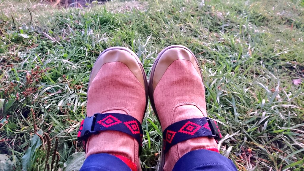 f:id:inoppi0625:20200507224831j:plain