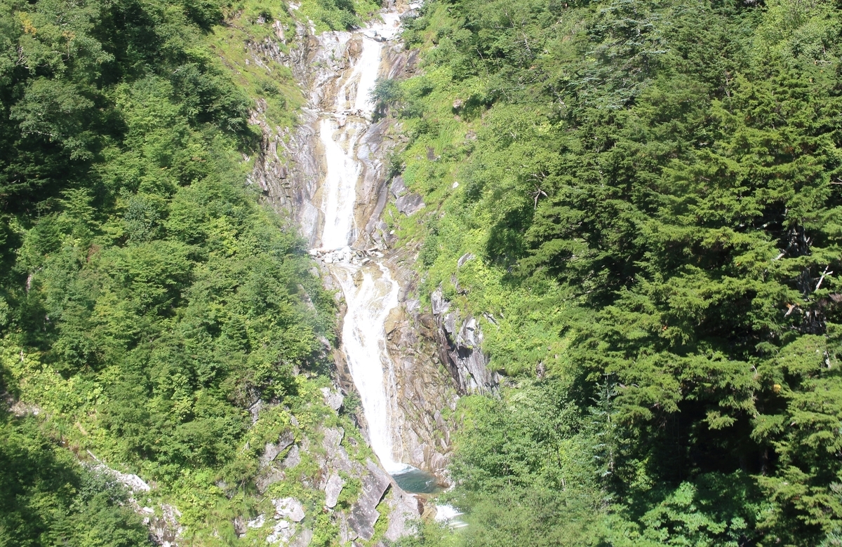 f:id:inoppi0625:20200508165404j:plain