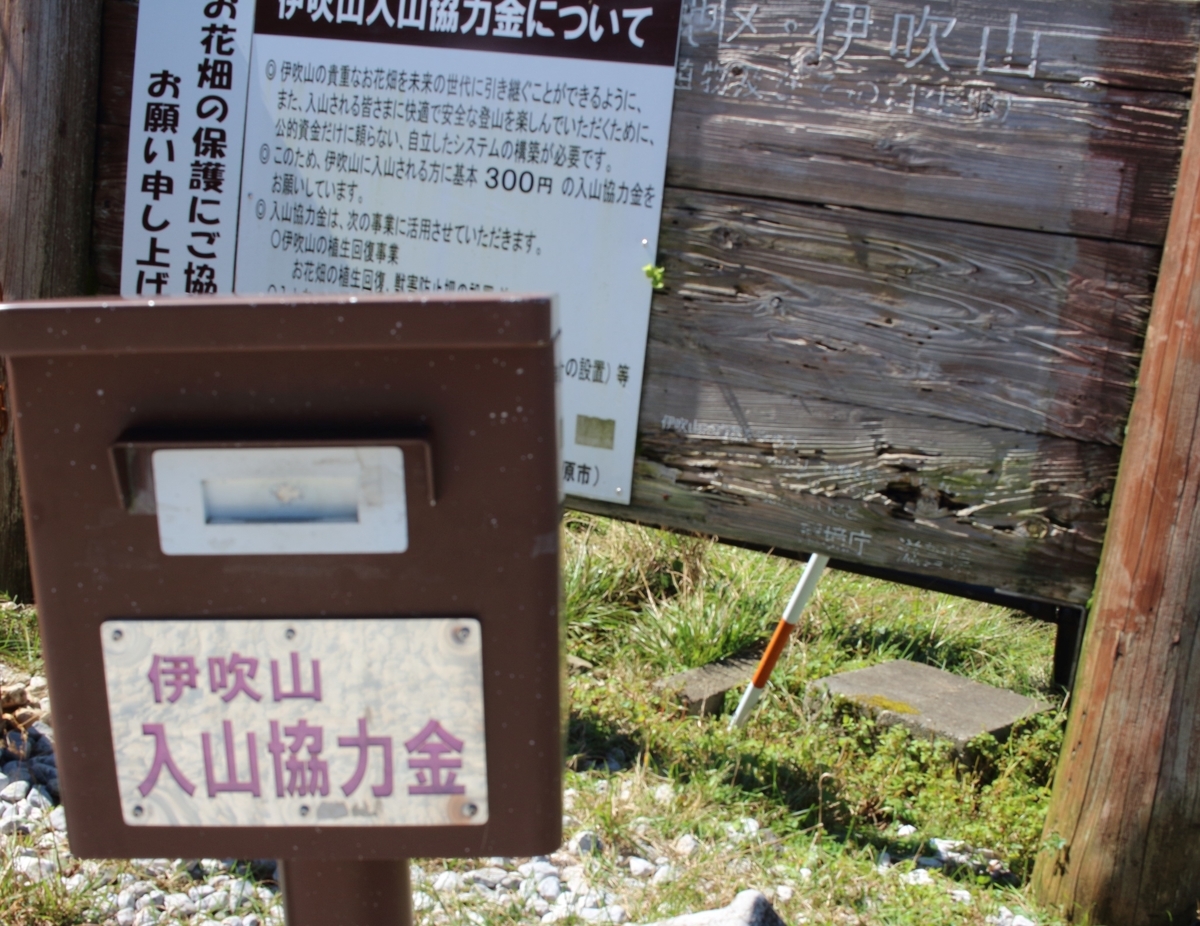 f:id:inoppi0625:20200509231822j:plain