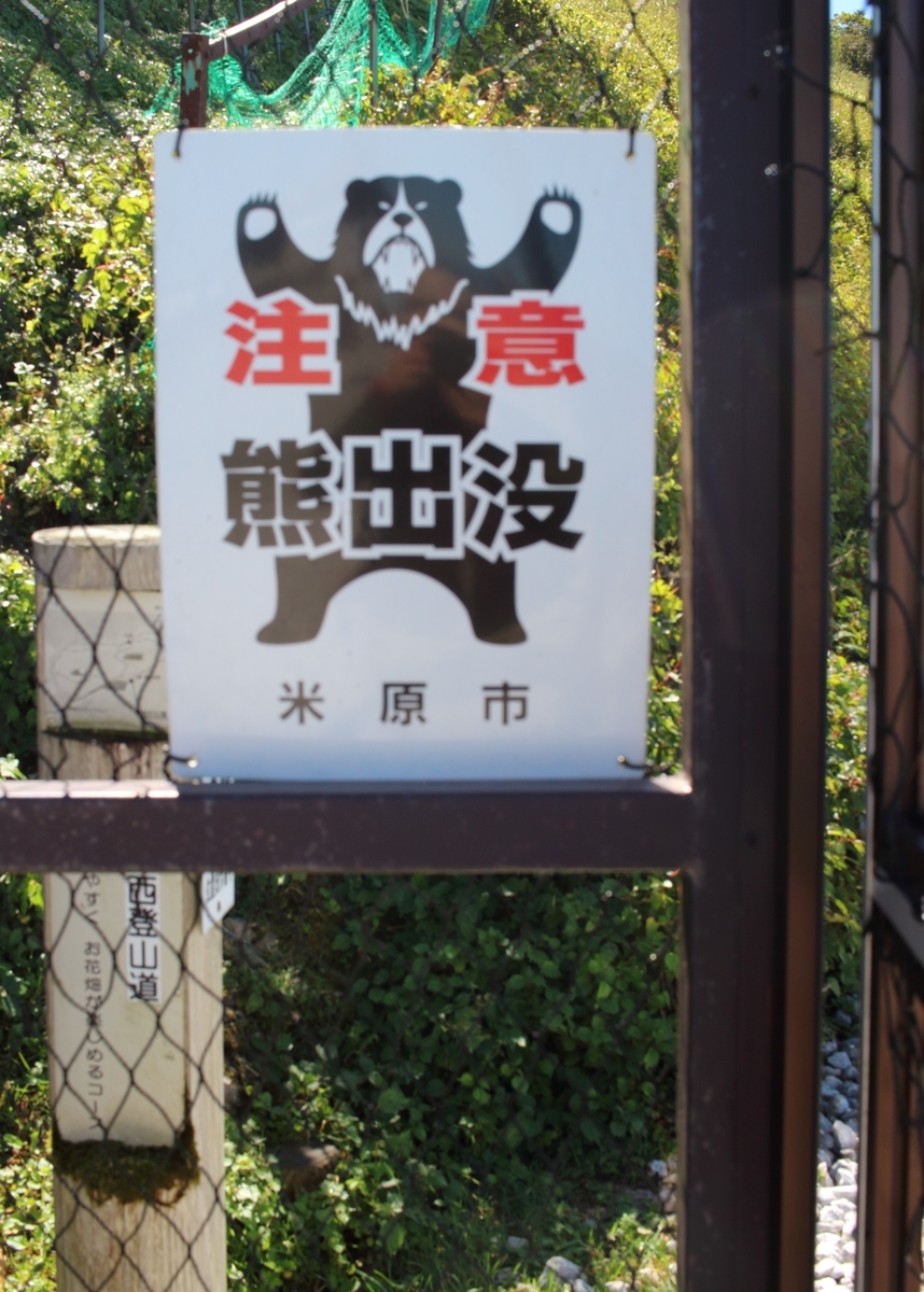 f:id:inoppi0625:20200509231841j:plain