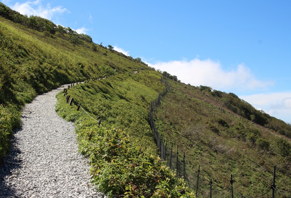 f:id:inoppi0625:20200509231908j:plain