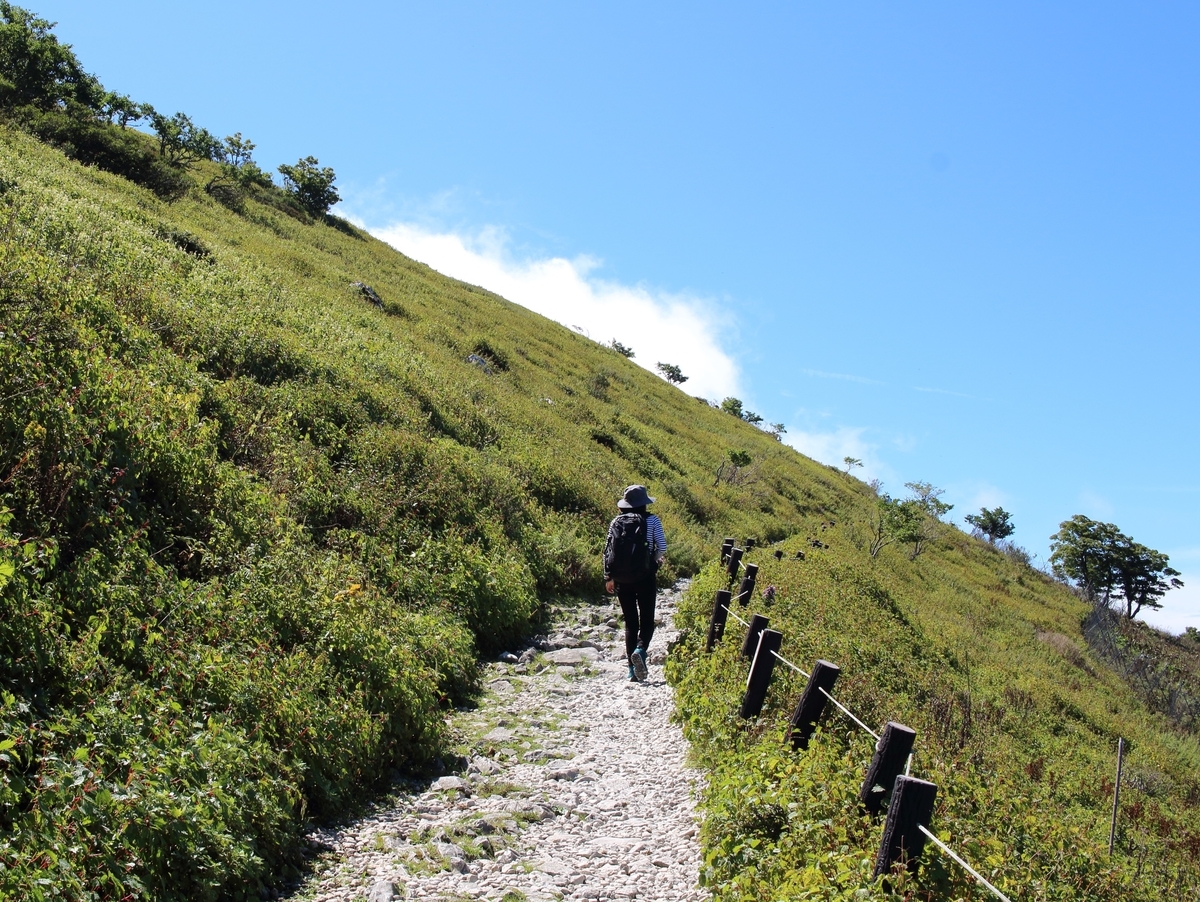 f:id:inoppi0625:20200509231918j:plain