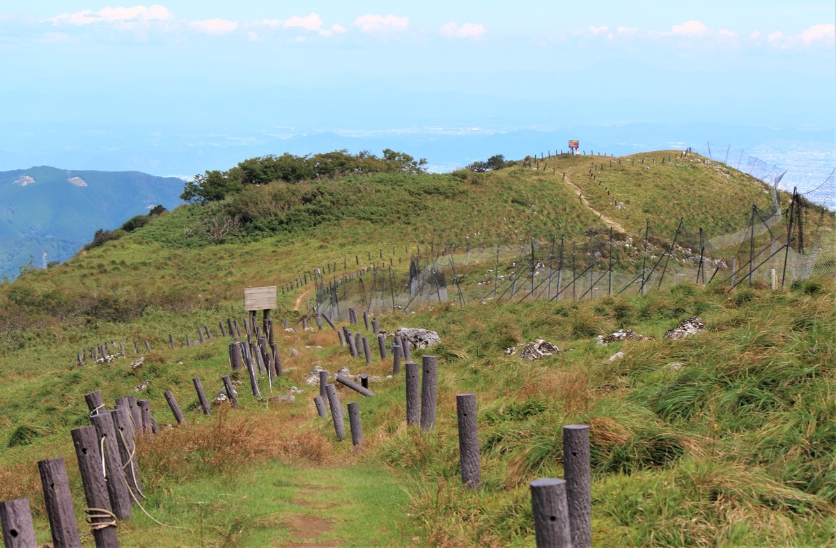 f:id:inoppi0625:20200509233404j:plain