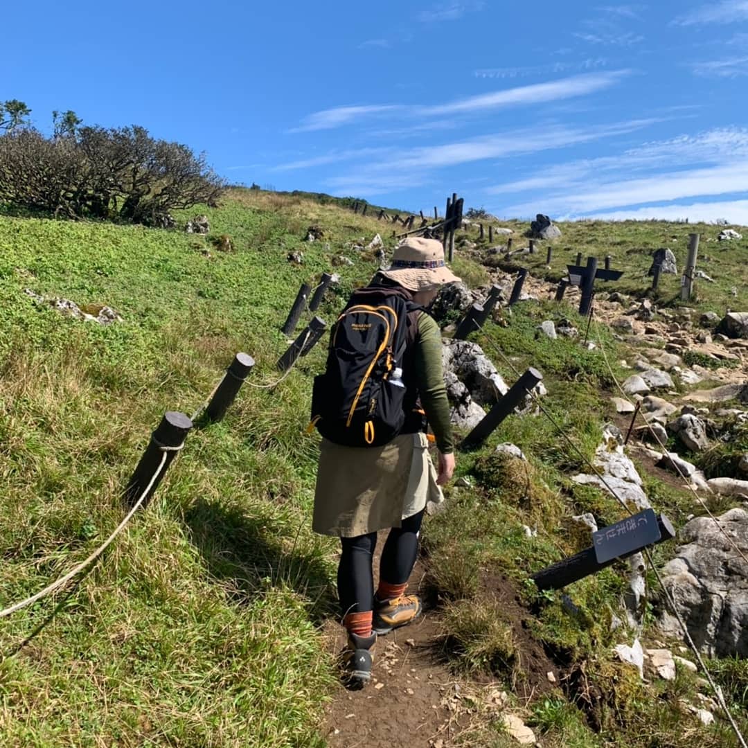 f:id:inoppi0625:20200509233407j:plain